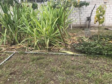 Vendo Quinta de 2500 m2 en Guayllabamba.