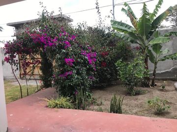 Vendo Quinta de 2500 m2 en Guayllabamba.