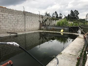 Vendo Quinta de 2500 m2 en Guayllabamba.