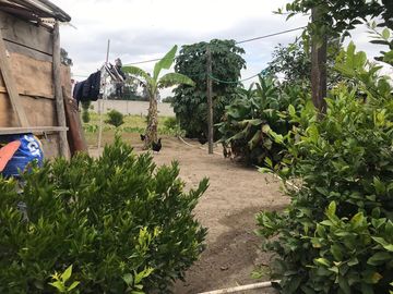 Vendo Quinta de 2500 m2 en Guayllabamba.