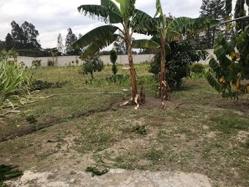 Vendo Quinta de 2500 m2 en Guayllabamba.