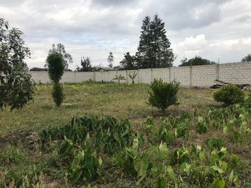 Vendo Quinta de 2500 m2 en Guayllabamba.
