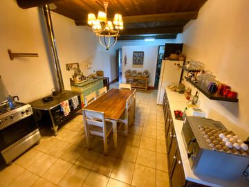 Campo en venta en Rengo de 9 Hectáreas sector Tipaume - Región de O' Higgins