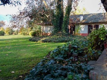 Campo en venta en Rengo de 9 Hectáreas sector Tipaume - Región de O' Higgins