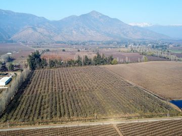 Campo en venta en Rengo de 9 Hectáreas sector Tipaume - Región de O' Higgins