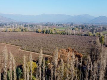 Campo en venta en Rengo de 9 Hectáreas sector Tipaume - Región de O' Higgins