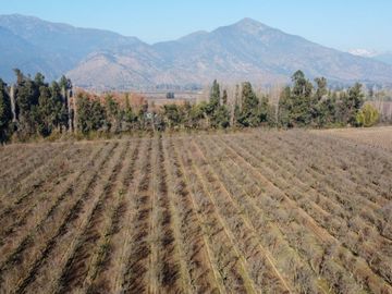 Campo en venta en Rengo de 9 Hectáreas sector Tipaume - Región de O' Higgins