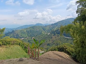 VENTA DE CASA CAMPESTRE UBICADA EN UN LOTE DE 22.500 M2 DE LOS CUALES 15.000 M2 SON SEMIPLANOS, MANIZALES CALDAS