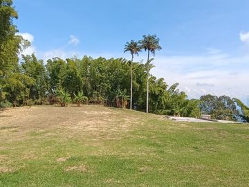 VENTA DE CASA CAMPESTRE UBICADA EN UN LOTE DE 22.500 M2 DE LOS CUALES 15.000 M2 SON SEMIPLANOS, MANIZALES CALDAS