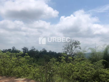 VENTA- Hacienda Productiva de venta en el Cantón Cumanda Provincia Chimborazo