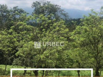 VENTA- Hacienda Productiva de venta en el Cantón Cumanda Provincia Chimborazo