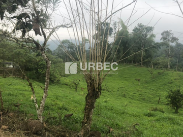 VENTA- Hacienda Productiva de venta en el Cantón Cumanda Provincia Chimborazo