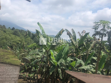 VENTA- Hacienda Productiva de venta en el Cantón Cumanda Provincia Chimborazo