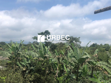 VENTA- Hacienda Productiva de venta en el Cantón Cumanda Provincia Chimborazo