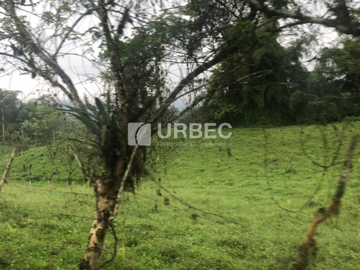 VENTA- Hacienda Productiva de venta en el Cantón Cumanda Provincia Chimborazo