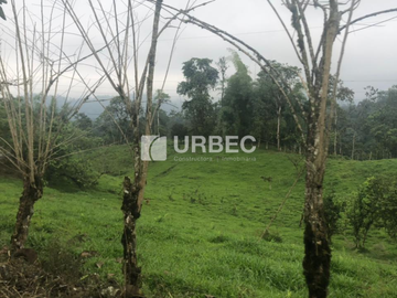 VENTA- Hacienda Productiva de venta en el Cantón Cumanda Provincia Chimborazo