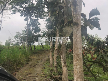 VENTA- Hacienda Productiva de venta en el Cantón Cumanda Provincia Chimborazo