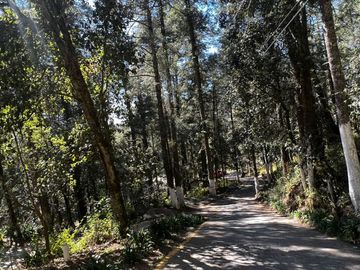 Terrenos En Venta Mineral Del Chico Y Mineral Del Monte Para Construir Tu Cabaña