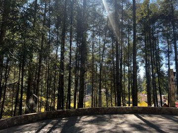 Terrenos En Venta Mineral Del Chico Y Mineral Del Monte Para Construir Tu Cabaña