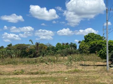 Very Affordable 500 sqm Farm Lot For Sale in Magallanes Cavite