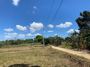 Very Affordable 500 sqm Farm Lot For Sale in Magallanes Cavite