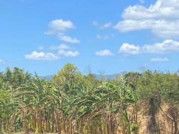 Very Affordable 500 sqm Farm Lot For Sale in Magallanes Cavite