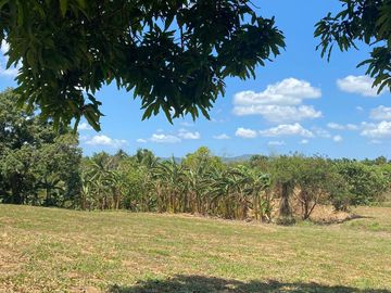 Very Affordable 500 sqm Farm Lot For Sale in Magallanes Cavite