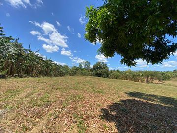 Very Affordable 500 sqm Farm Lot For Sale in Magallanes Cavite
