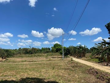 Very Affordable 500 sqm Farm Lot For Sale in Magallanes Cavite