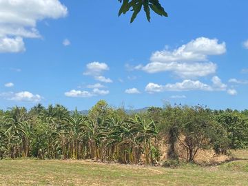 Very Affordable 500 sqm Farm Lot For Sale in Magallanes Cavite