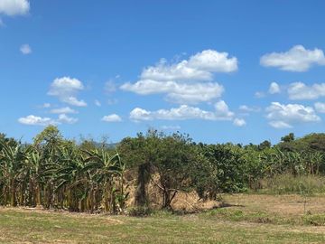 Very Affordable 500 sqm Farm Lot For Sale in Magallanes Cavite