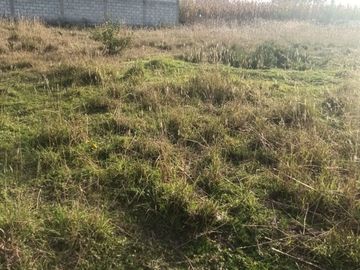 Venta de Terreno