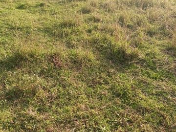 Venta de Terreno