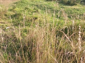 Venta de Terreno