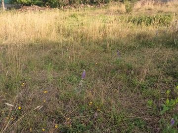 Venta de Terreno