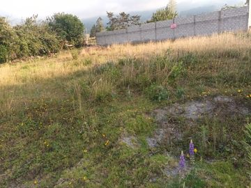 Venta de Terreno