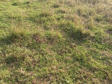 Venta de Terreno