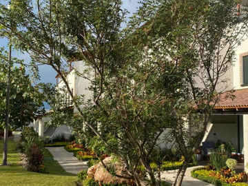 PREVENTA DE CASA CON RECÁMARA EN PLANTA BAJA EN CONDOMINIO EN XOCHITEPEC