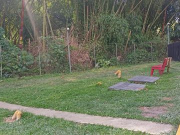 Casa en Dosquebradas (Makro)