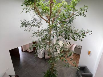 Hermosa casa en venta, bosques de angelopolis