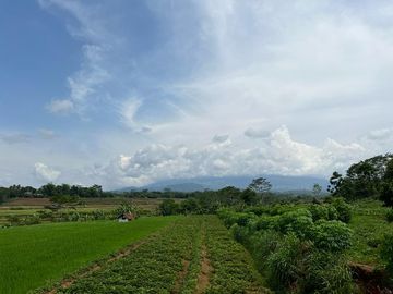 Tanah Strategis Tepi Jl Raya Mojogedang