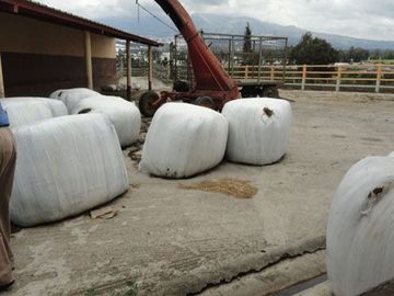Hacienda de venta en Cayambe 43 hectáreas