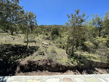 Las Flores – Donde la Naturaleza Se Convierte en Tu Estilo de Vida