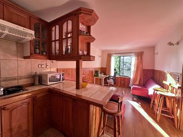 VENTA DEPARTAMENTO PARQUE SUIZO #800 PUCON, 1DORMITORIO,1 BAÑO, 1 ESTACIONAMIENTO