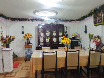 Casa en venta, 3ra Privada de Avenida Del Castillo, 3 niveles
