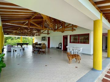 Majestuosa casa campestre vía Alcala ideal para Hotel Campestre. Hacienda Cafetera. Pereira - Colombia.