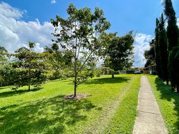 Majestuosa casa campestre vía Alcala ideal para Hotel Campestre. Hacienda Cafetera. Pereira - Colombia.