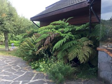 casa de ensueño  con vista panoramica al Lago Villarrica / sector club de campo