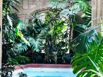 Bosque 6060, Hermoso Departamento en Venta