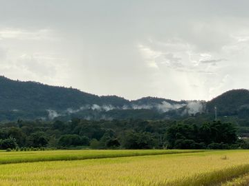 A 4-bed home for sale in Long Khot Valley, Chiang Mai